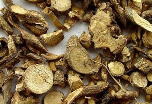 山豆根的功效与作用及禁忌