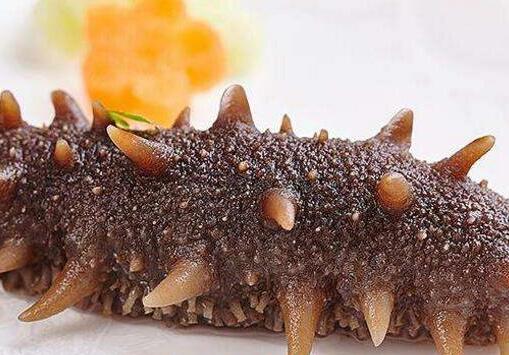 海参有壮阳的功效吗，海参的功效与禁忌人群