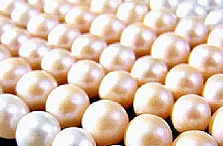 珍珠的功效与作用及禁忌