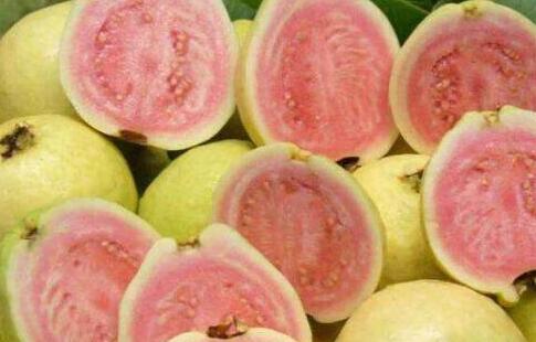 100克芭乐热量，100个红心芭乐的热量