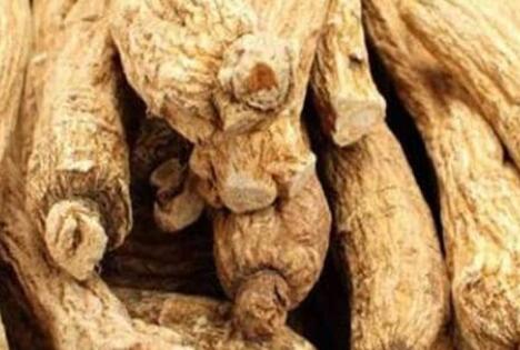 西洋参和人参的区别，外观上怎么区分西洋参和人参