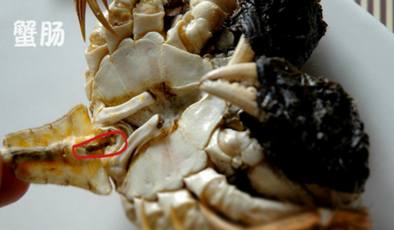 大闸蟹不能和什么一起吃？大闸蟹不能吃的部位图