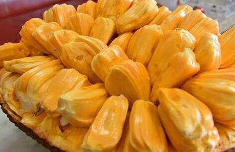 吃完菠萝蜜千万别碰5种食物，菠萝蜜和什么相克