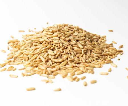 燕麦的功效与作用及禁忌