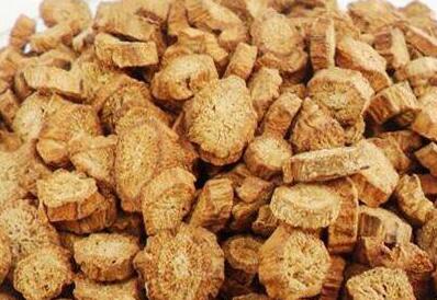 牛蒡根的功效与作用及食用方法