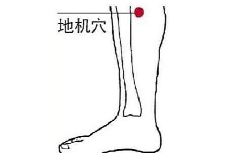 地机的定位和主治,地机的位置和功效
