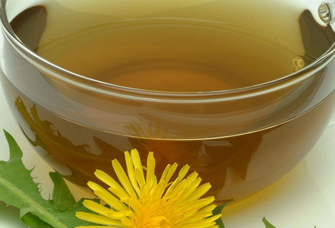 蒲公英泡水喝的禁忌，蒲公英泡水喝的副作用