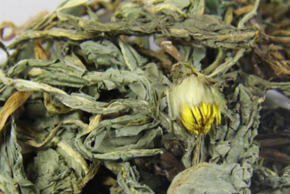 蒲公英泡水喝的禁忌，蒲公英泡水喝的副作用