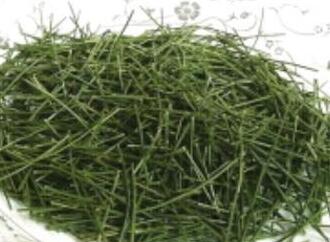 松针茶多少价格一斤，松针茶贵吗