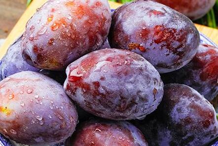 西梅的吃法：新鲜西梅怎么吃