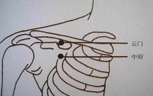 中府怎么找，中府的准确位置图和作用