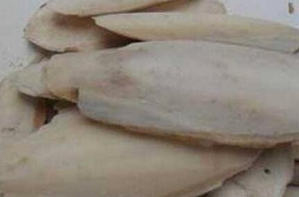 乌贼骨的功效与作用及禁忌，乌贼骨的副作用