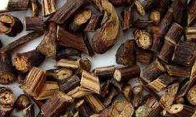 首乌藤的功效与作用及禁忌