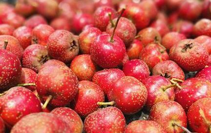 山楂的禁忌与副作用，山楂不能和什么一起吃