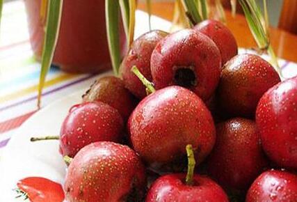 生山楂的功效与作用及禁忌，生山楂的吃法