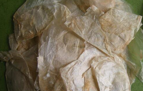 玉蝴蝶天天喝好吗，玉蝴蝶加什么治咽炎