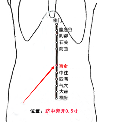 找肓俞穴的最笨方法，肓俞的准确位置图和作用