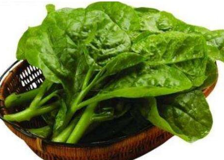 木耳菜怎么做好吃，吃木耳菜的禁忌