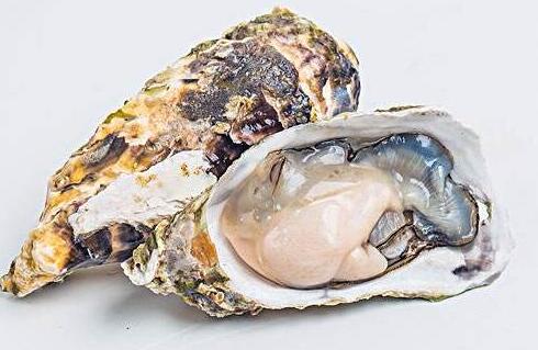 男人吃生蚝多久有反应，吃生蚝真的会更硬吗