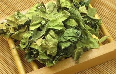 桑叶对男人有什么好处，桑叶的副作用及毒性