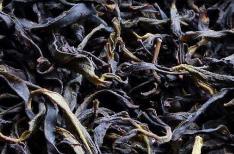 喝了七天乌龙茶胖了5斤，乌龙茶减肥成功30斤