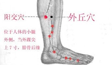 阳交穴的定位和主治，阳交的准确位置图和作用