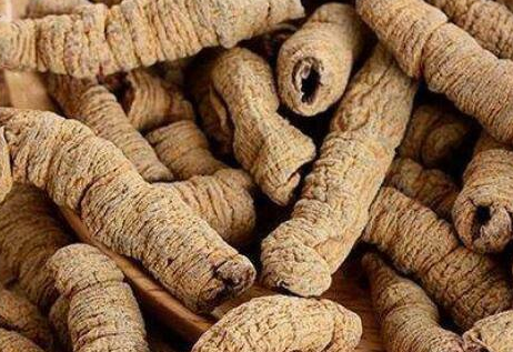 巴戟天配什么不上火，长期吃巴戟天的害处