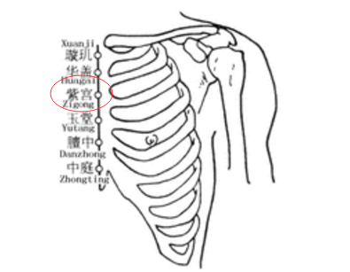 紫宫穴的最笨找法，紫宫的准确位置图和作用