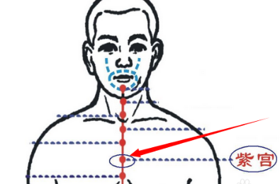 紫宫穴的最笨找法，紫宫的准确位置图和作用