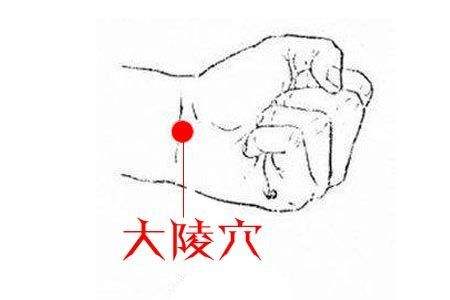 大陵穴的作用，大陵的准确位置图片