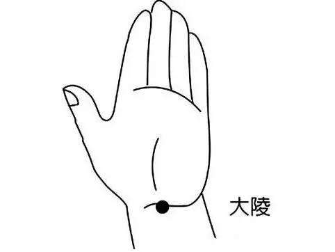 大陵穴的作用，大陵的准确位置图片