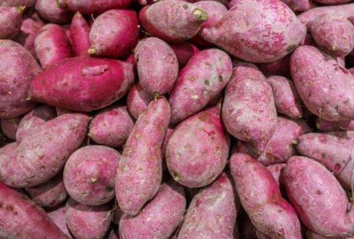 红薯的功效与作用及禁忌