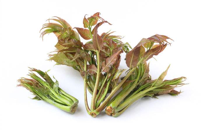 香椿芽的功效与作用，春天吃效果更好！