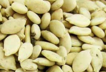 冬瓜子美白的正确方法，冬瓜籽粉美白一个月