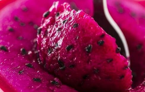 红心火龙果的功效与作用及禁忌