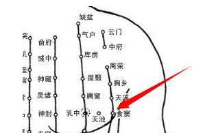 找食窦穴的最笨方法，食窦的准确位置图和作用