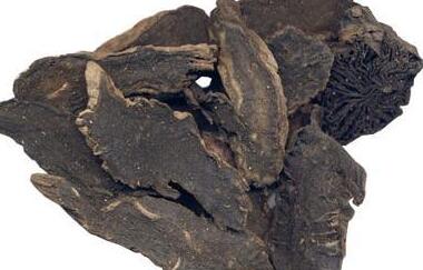 玄参和麦冬的功效与作用