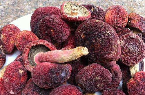 红菇的功效与作用，吃红菇的禁忌