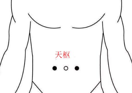 天枢穴怎么找最简单，天枢的准确位置图和作用