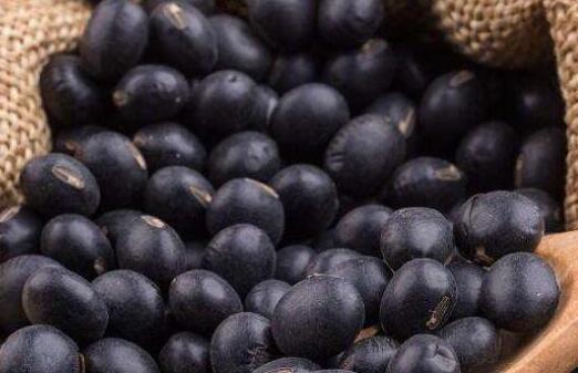 黑豆可以丰胸吗，黑豆丰胸一个月暴涨