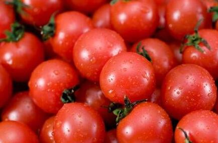 圣女果的功效与作用，圣女果的禁忌及副作用