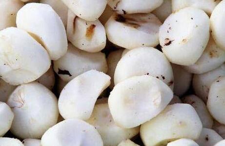 女人吃马蹄有什么好处，马蹄的药用价值