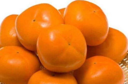 柿子能治病吗，柿子的药用价值