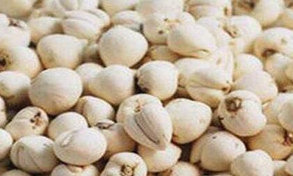 浙贝母又叫什么名字,浙贝母和川贝母的区别