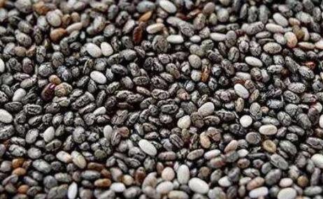 奇亚籽吃了真会得癌吗，奇亚籽中国禁售原因