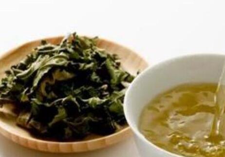 桑叶茶多少钱一斤哪里有卖的