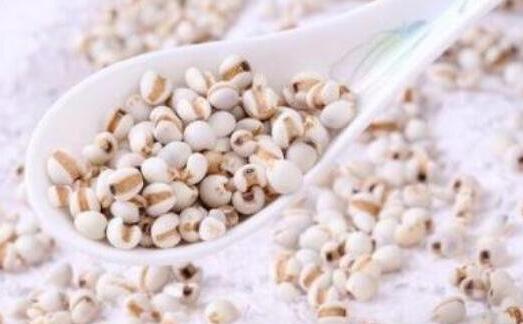 米仁的功效与作用及食用方法