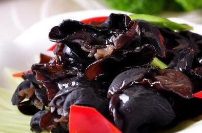 木耳的功效与作用及禁忌，木耳的吃法