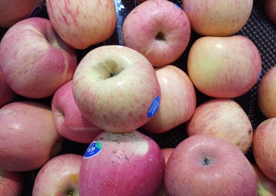 晚餐吃什么最减肥？简单减肥晚餐食谱大全