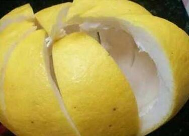 干柚子皮的功效与禁忌